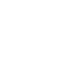 2026 Cusco Web Fest Official Selection
